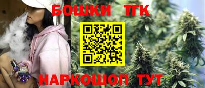 спиды Дубна