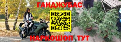 спиды Дубна