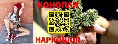 спиды Дубна