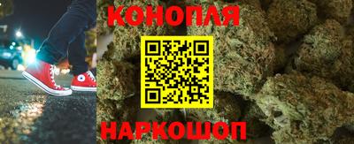спиды Дубна