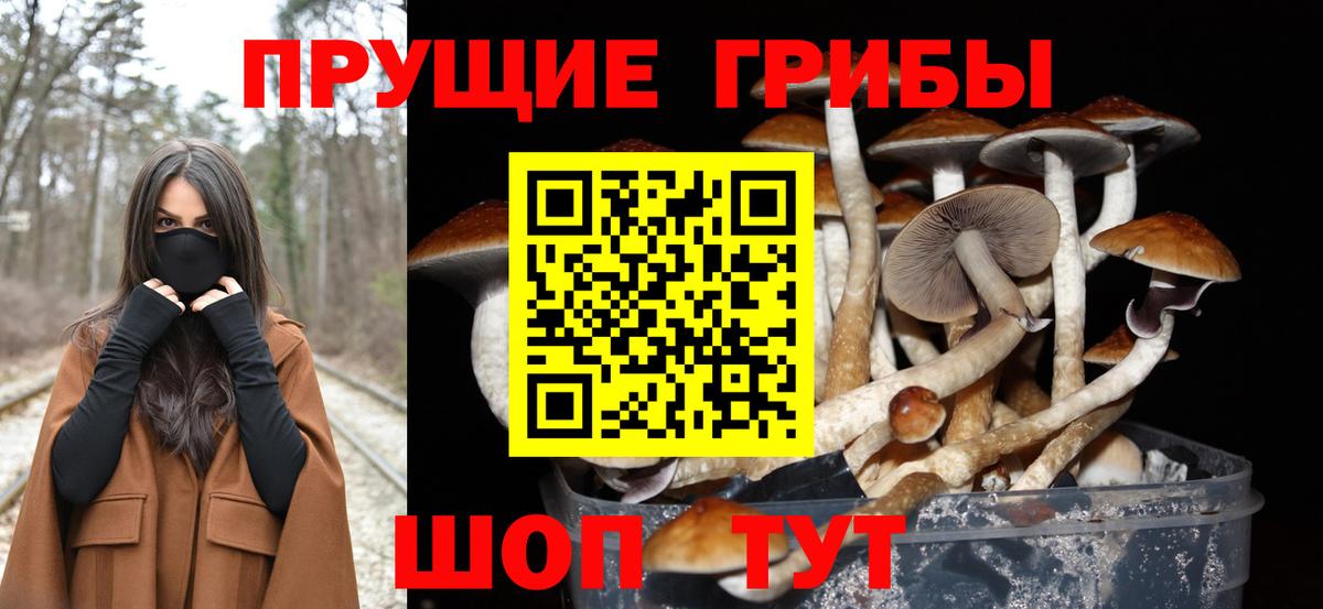 Галлюциногенные грибы мицелий  Псилоцибиновые грибы мицелий  Железноводск  Вход с VPN 